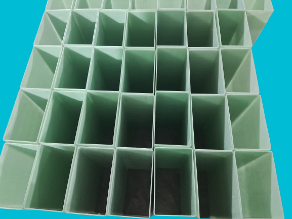 20241104_183002-removebg-preview