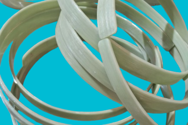 20250206_162259-removebg-preview